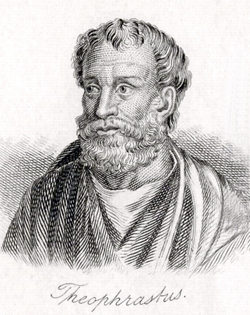 Theophrastus