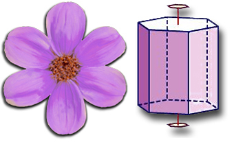 Flor y prisma con eje de simetría hexagonal